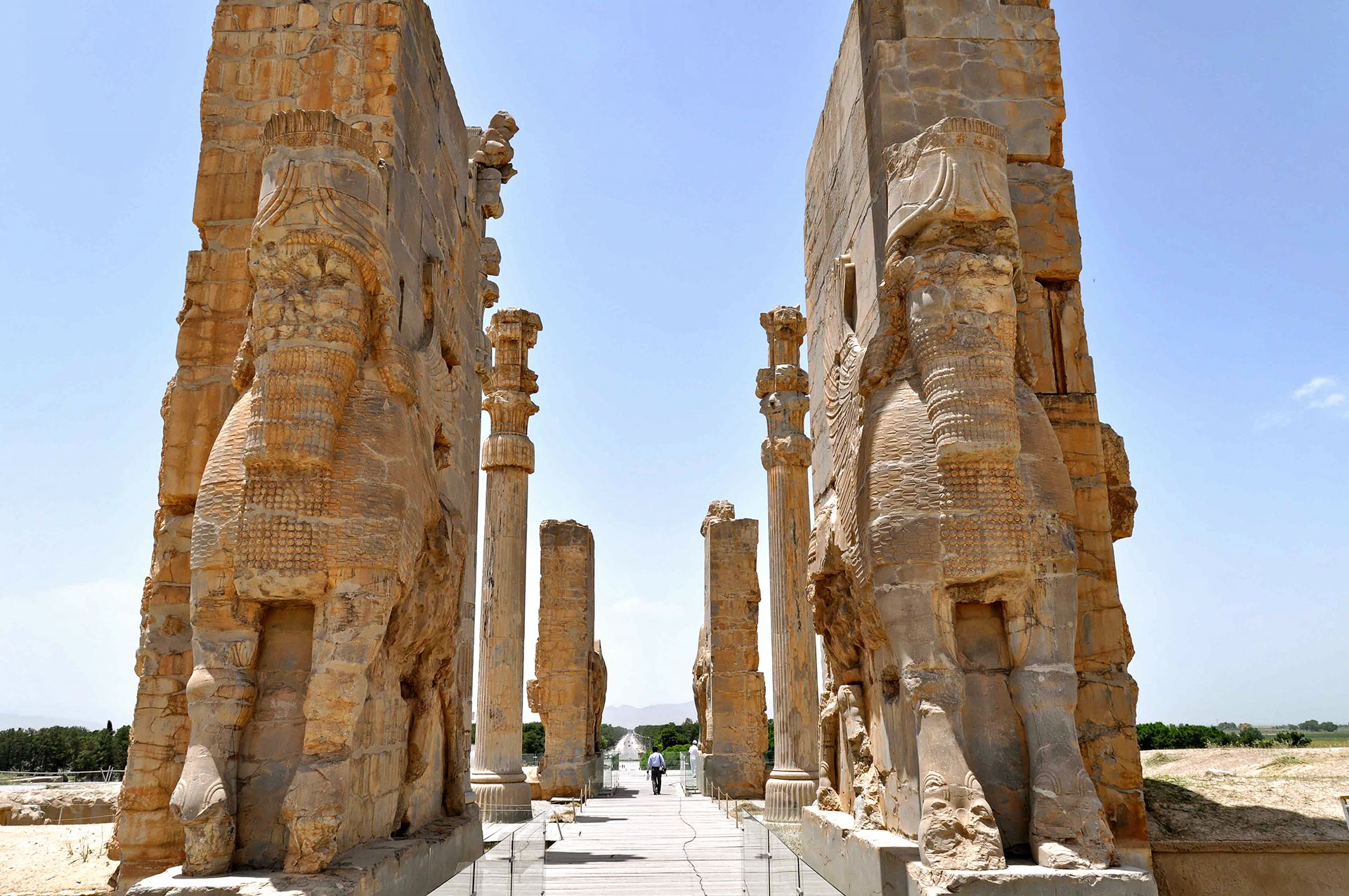 Columns of Persepolis structures